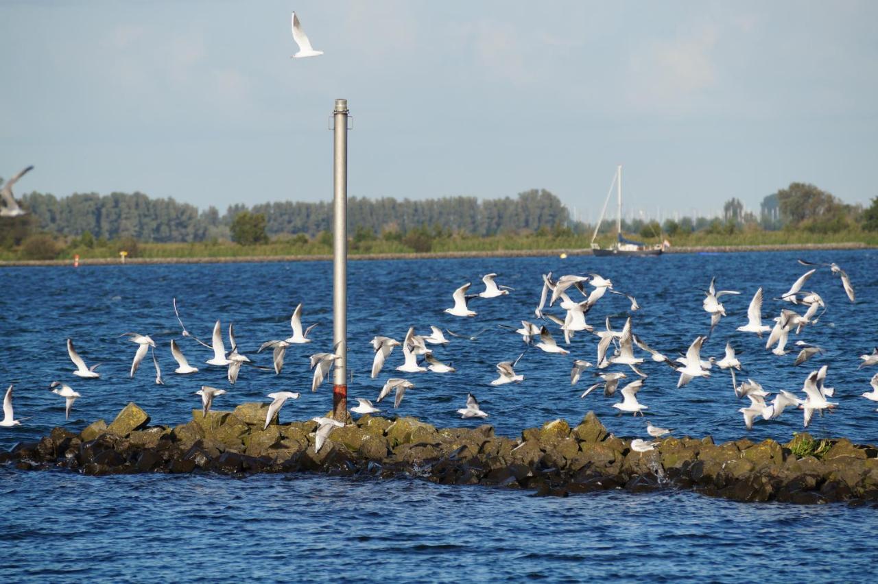 B&B Logeren Bij De Burgemeester Stad aan 't Haringvliet Exteriér fotografie